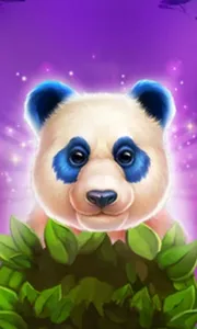 Luck of Panda: Bonus Combo